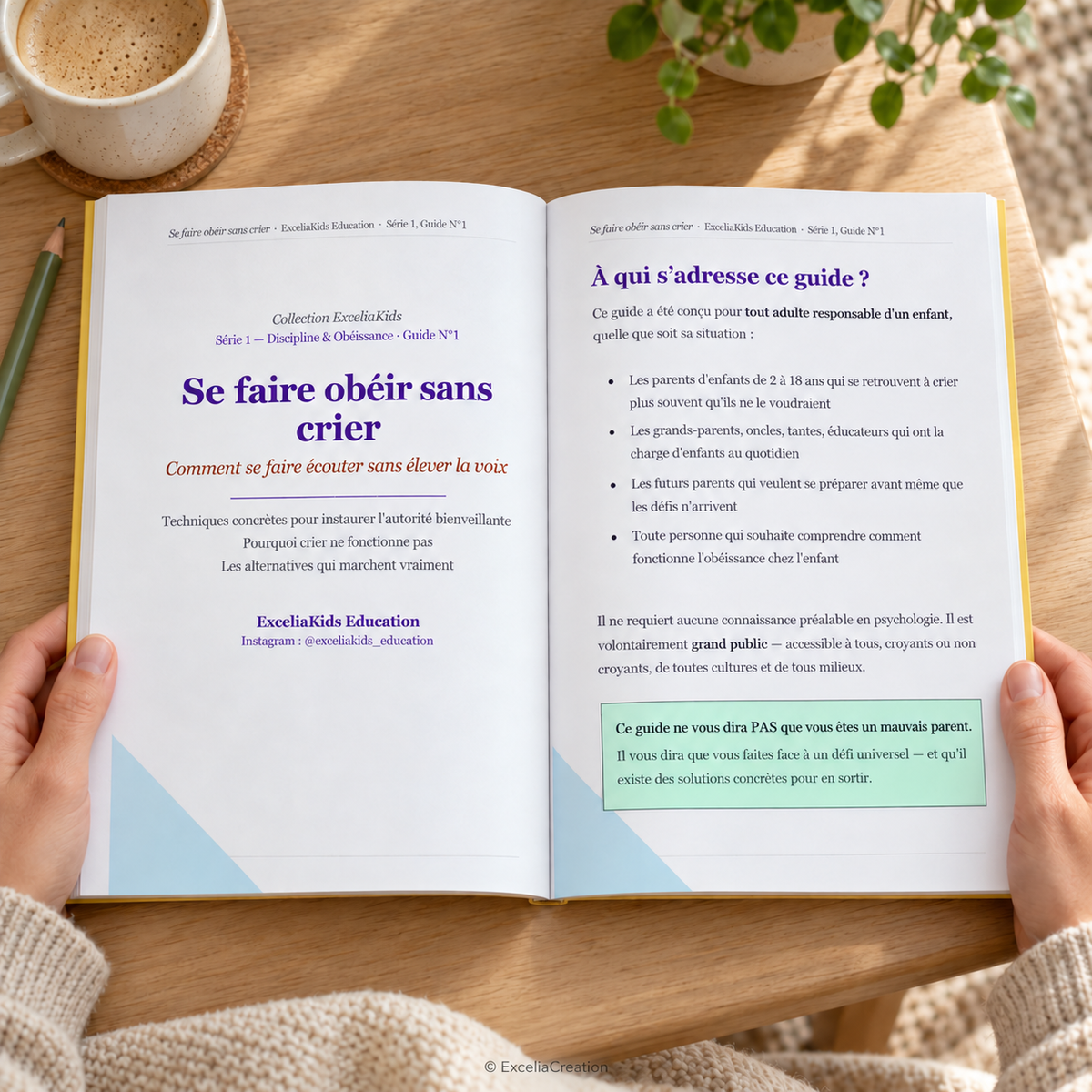 Pages intérieures du guide : présentation et public concerné